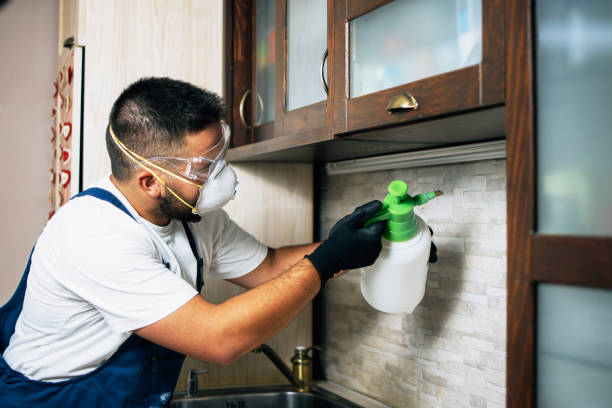 Best Pest Prevention Services  in Dixon, MO