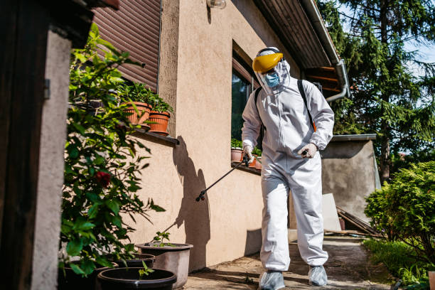 Best Commercial Pest Control Services  in Dixon, MO