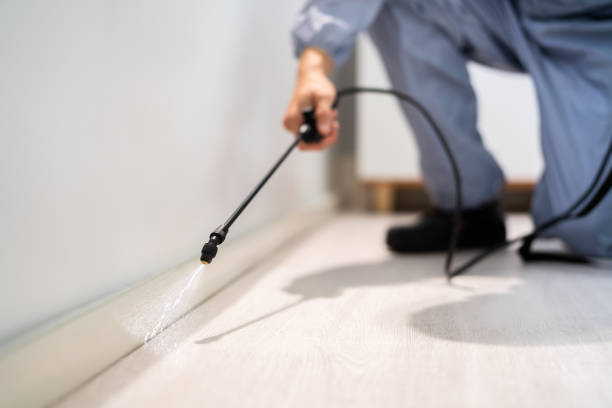 Professional Pest Control in Dixon, MO