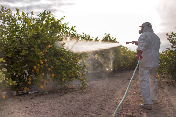 Best Residential Pest Control  in Dixon, MO