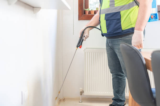 Flea Control Services in Dixon, MO