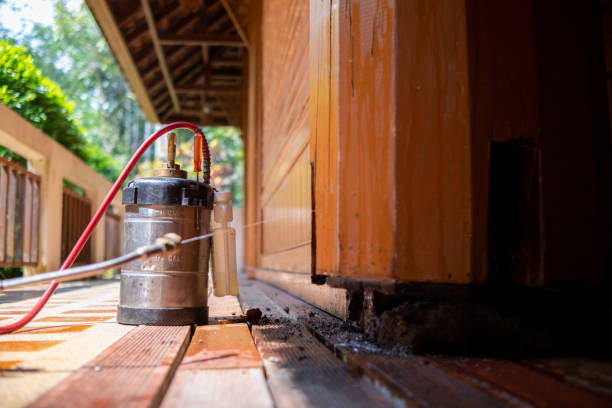 Pest Control for Restaurants in Dixon, MO