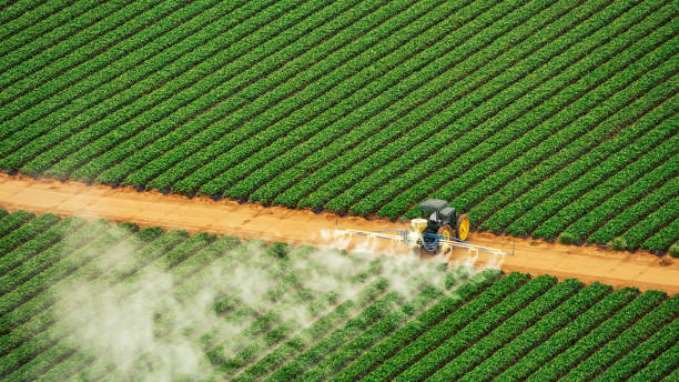 Best Pest Control for Restaurants  in Dixon, MO