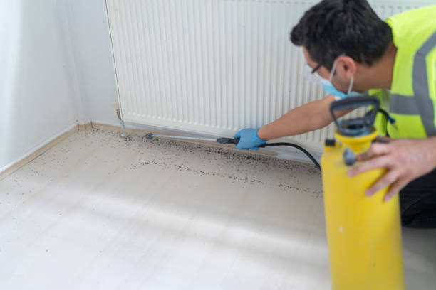 Best Pest Removal Services  in Dixon, MO
